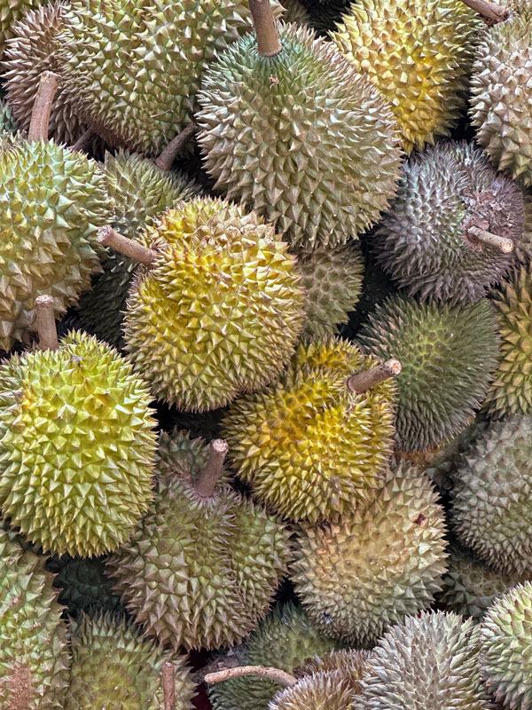 08-23 Durian i0261