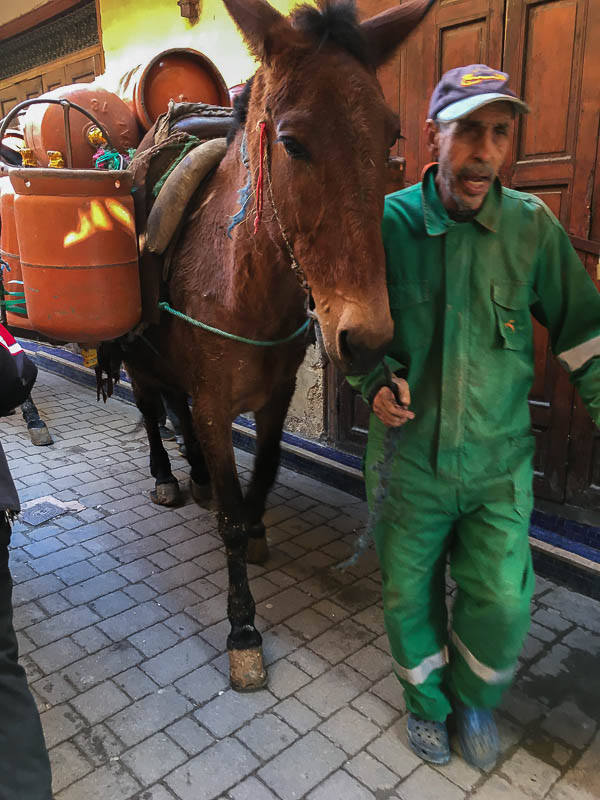 Cooking as delivery 2019 04 01 - Moroc-i0286