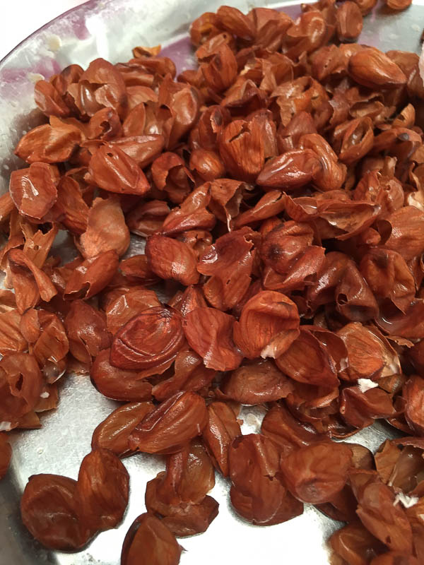 Almond skins and... Moroc-i0444