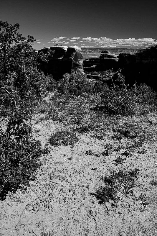 Utah19-2-0849bw