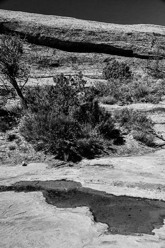 Desert water - Utah19-2-0863bw