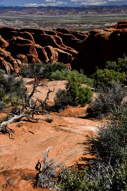 Utah19-2-0870