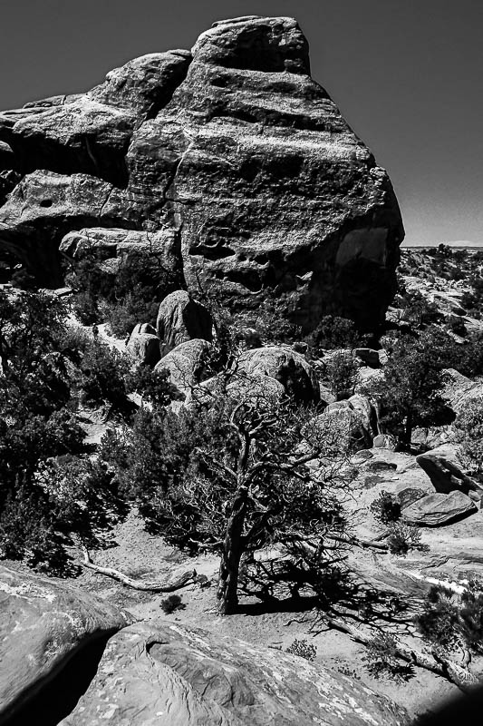 Utah19-2-0919-2bw