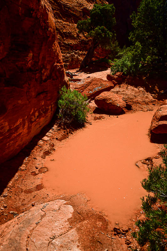 Muddy water hole Utah19-2-0926