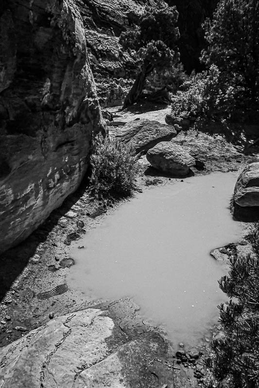 Muddy water hole Utah19-2-0926-2bw
