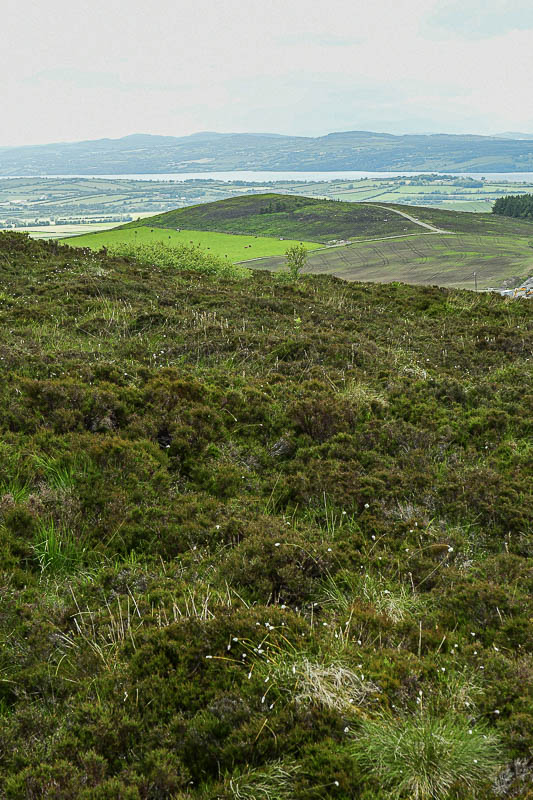 06 12 At the ring fort Grianan of Aileach 4997