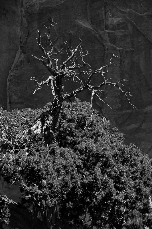 05 02 Utah19-2-0961-2bw