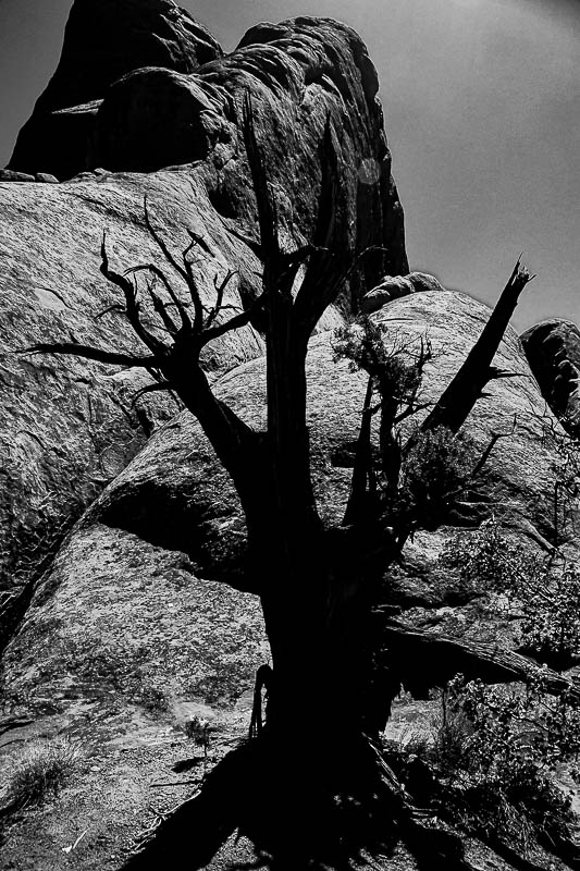 Foreboding - Utah19-2-0972bw