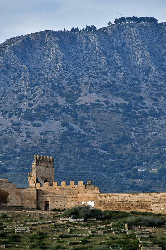 Roof-top view of Fez - City wall and cemetery - Moroc-3574