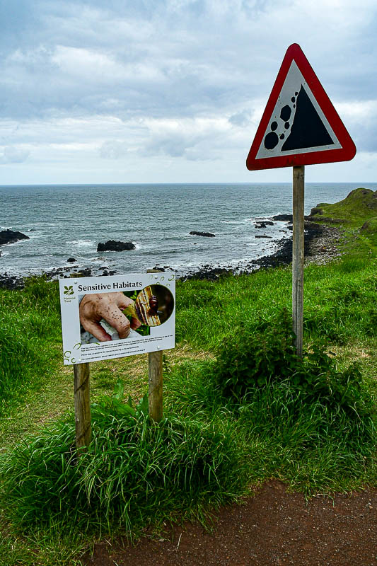 06 13 Giant's Causeway coast - 5029