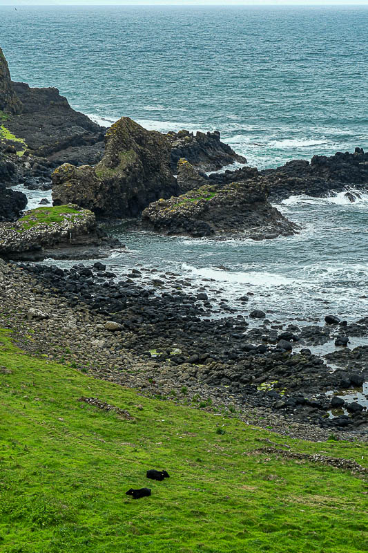 06 13 Giant's Causeway coast - 5030