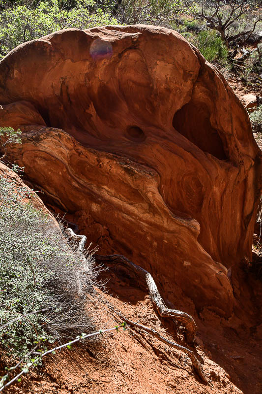 Utah19-2-0989