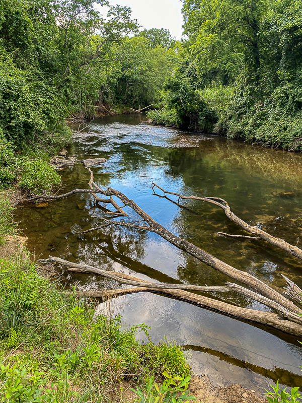 06 29 Brasstown Creek i1493