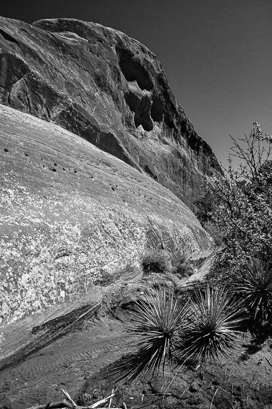 Utah19-2-1019-2bw