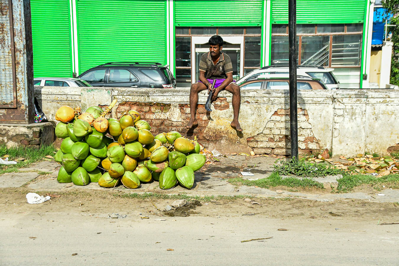 Slow coconut sales this morning India-2-1860