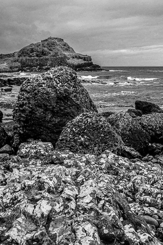 06 13 At Giant's Causeway - 5079-2bw