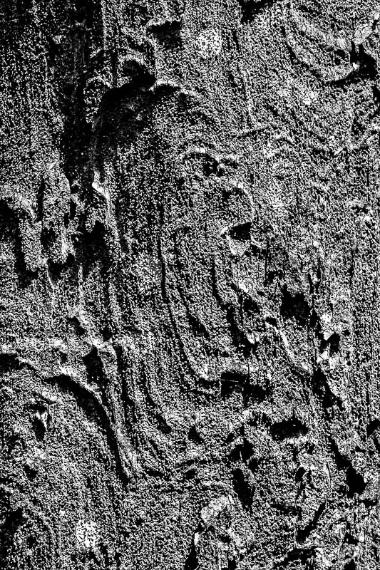 Malaysian Borneo Monochromes