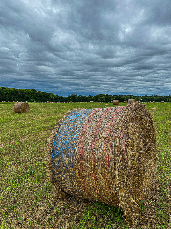 2024 06 10 Haybale i5901