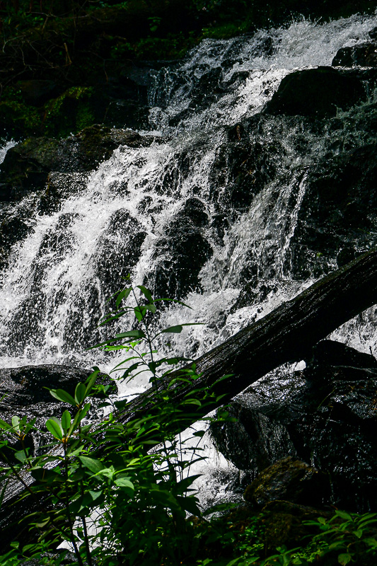 06 30 Trahlyta Falls 5943