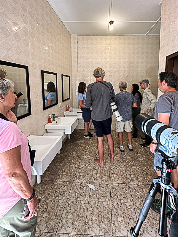 08 26 A few folks also photographing the beetle in the men's room i0473