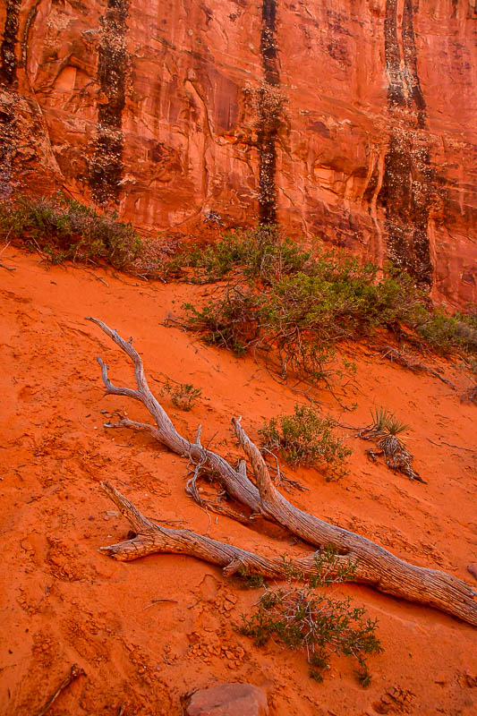 Canyon light Utah19-2-1098
