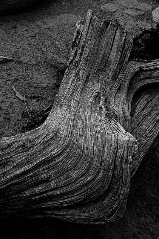 Utah19-2-1109-2bw