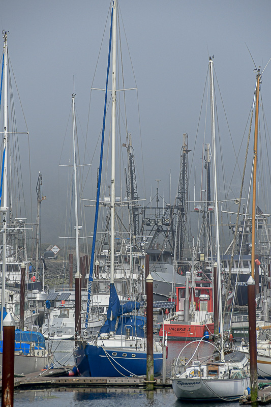 2024 07 22 Brookings Harbor, Oregon 8474