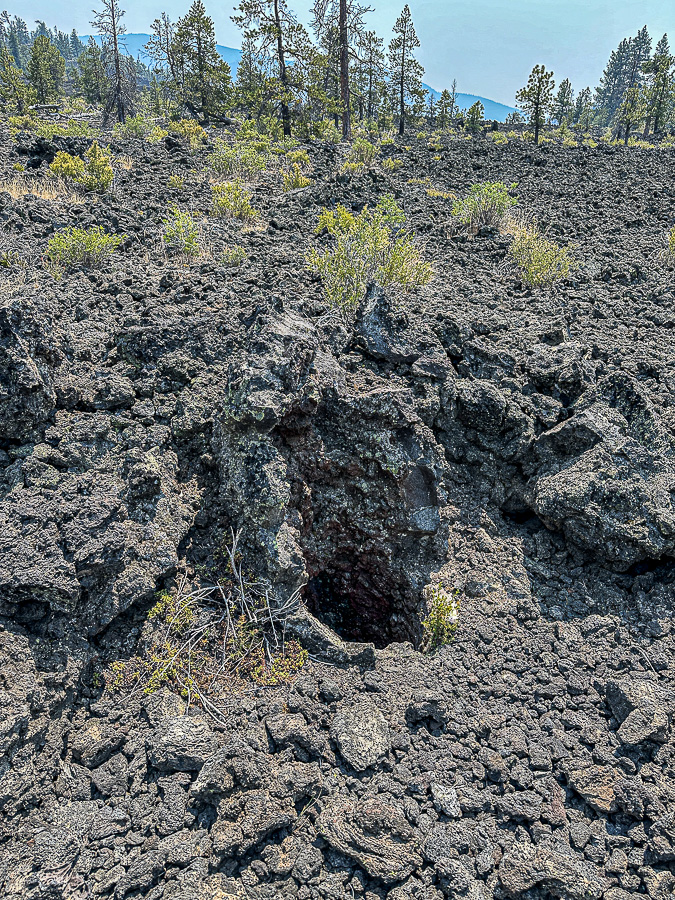 2024 07 20 Casts of tree trunks in lava flow - Lava Cast Forest - i7171