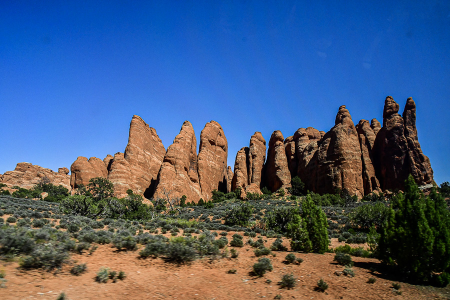 Utah19-2-1123