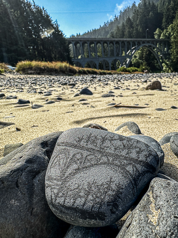 2024 07 26 Beach find i8709