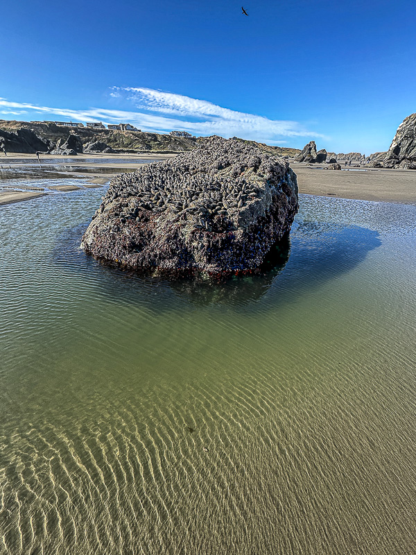 2024 07 24 Bandon Beach i8171-2