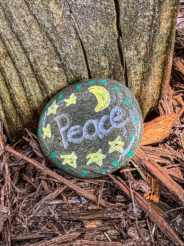 2024 08 01 PEACE i9529