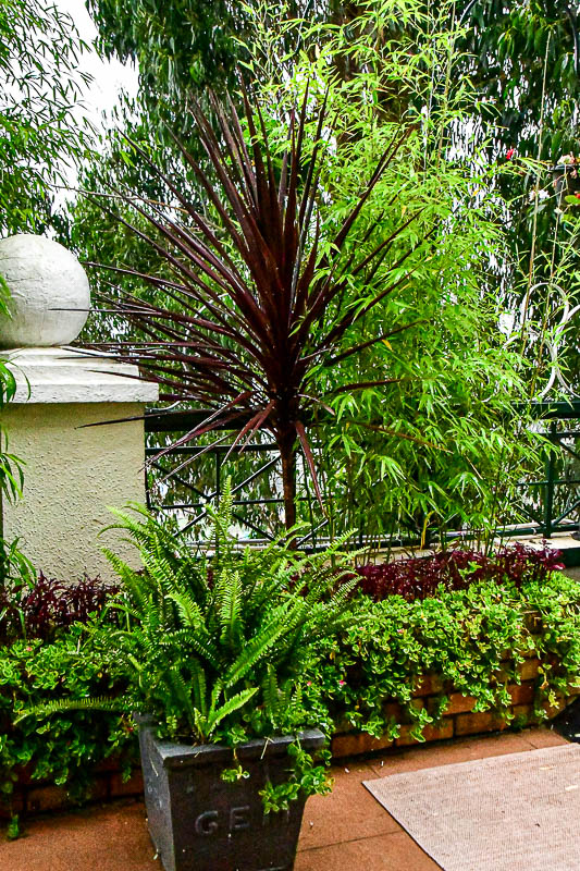 09 04 Hotel garden India-2-2329