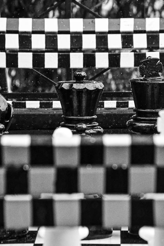 09 04 Rain on garden chess India-2-2333