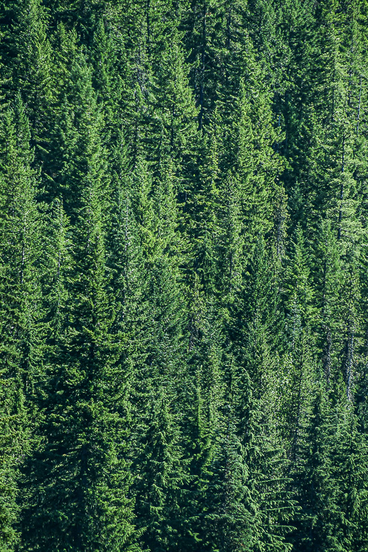 Portland to Bend, OR