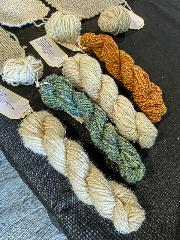 07 01 Spinning i1578