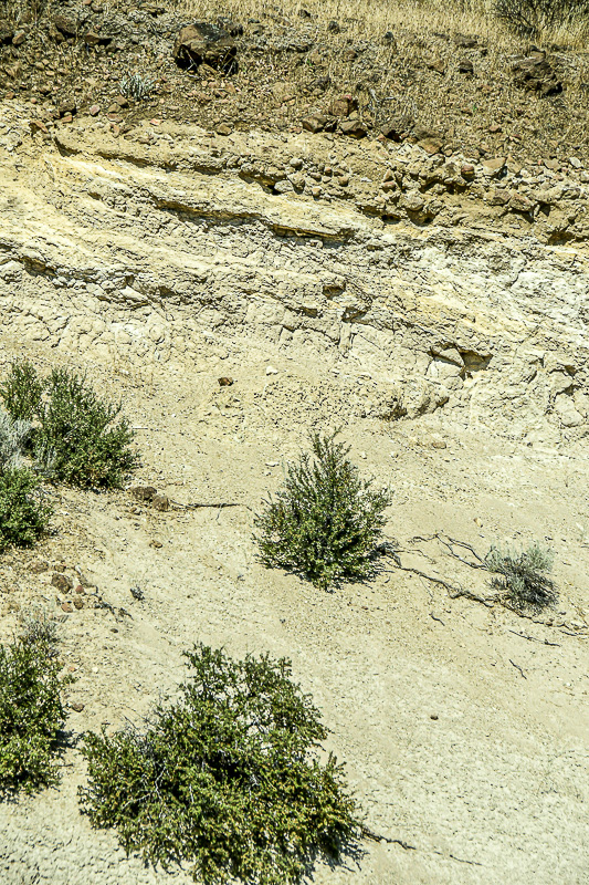 07 18 Sedimentary 7678