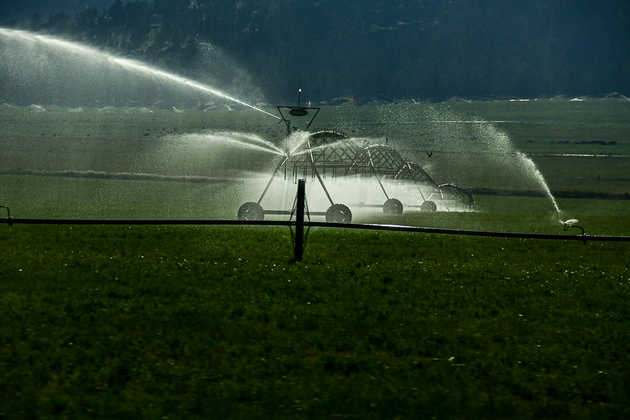 07 18 Backlit irrigation water 7773