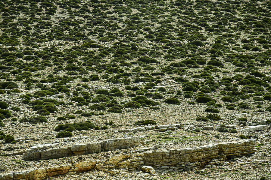 04 02  Landscape Moroc-3959
