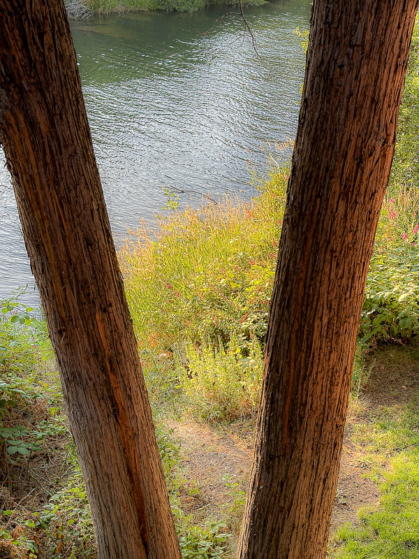07 18 Deshutes River, Bend, OR i6915