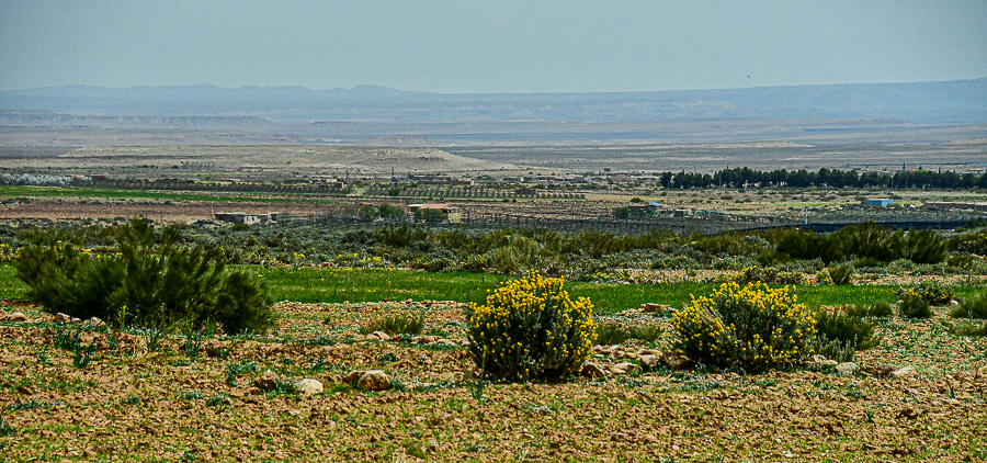 04 02 Agriculture in valley Moroc-4015