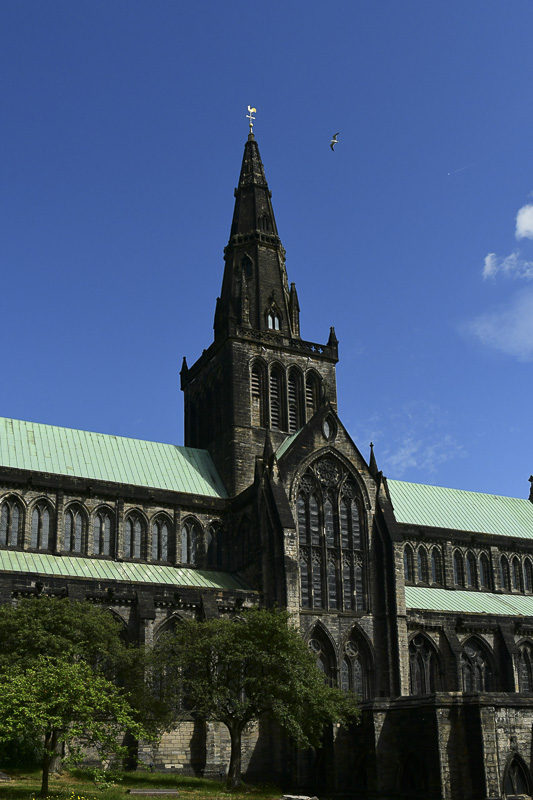 06 15 Glasgow Cathedral 5204-2