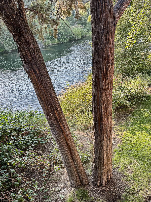07 18 Deshutes River, Bend, OR i6916