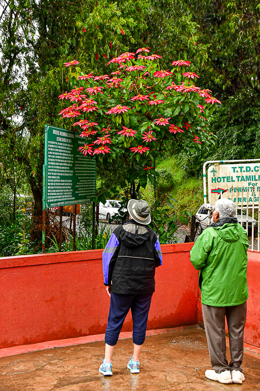 09 04 Ginger and Bhuvenesh at 09 04 Breeks Memorial School India-2-2414