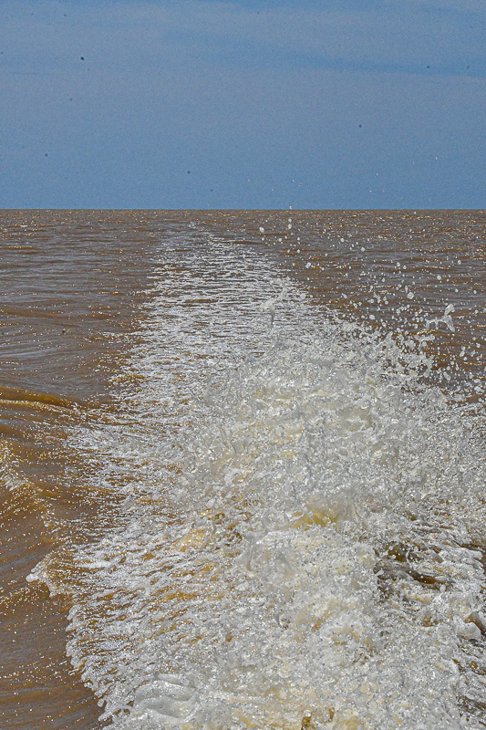 08 26 Kinabatangan River 4467