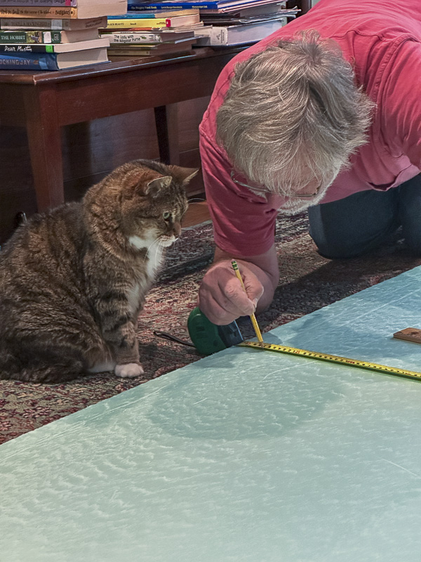 2024 10 20 Hobbes supervising me i1433