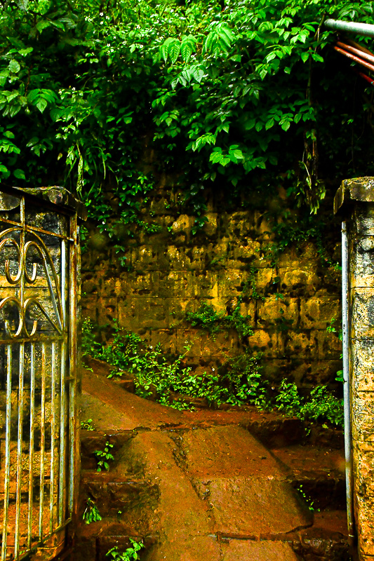 09 04 Gate and pathway India-2-2471