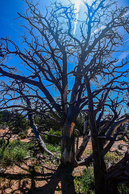 05 03 Utah19-2-1356