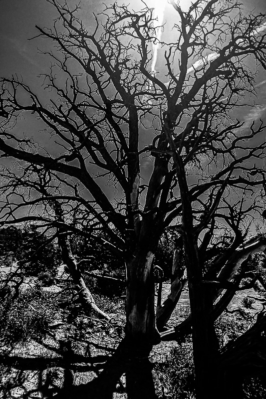 05 03 Utah19-2-1356-2