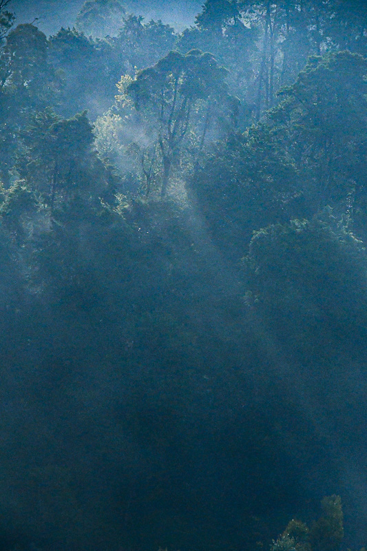 09 05 Morning mists in Ooty India-2-2534